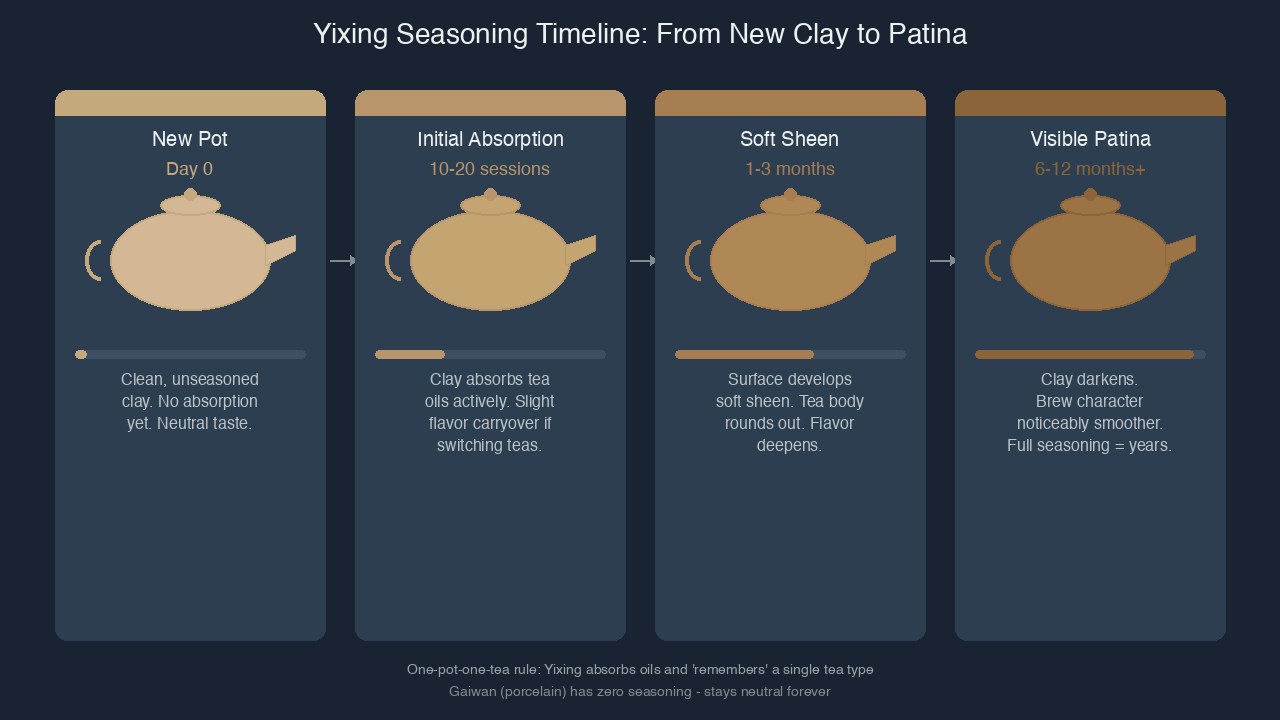 Yixing clay teapot seasoning timeline showing patina development
