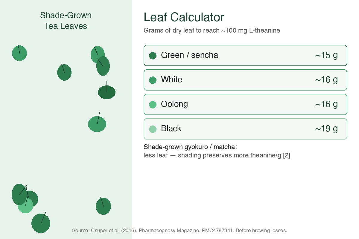 Grams of dry leaf by tea type to reach 100 mg L-theanine
