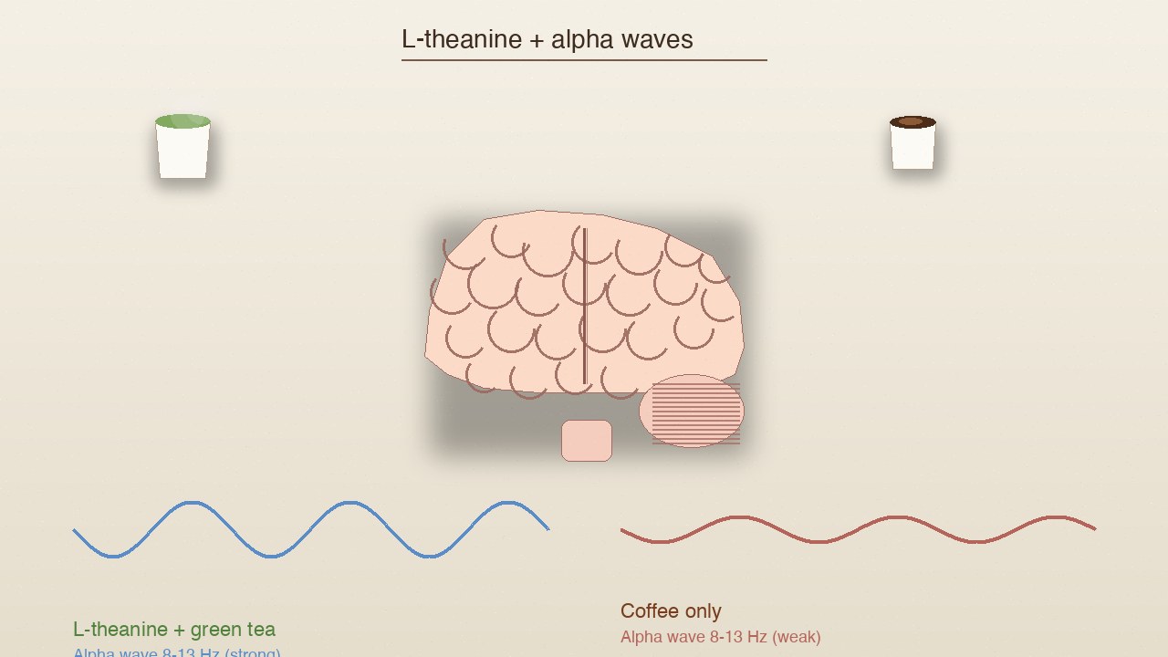Brain (PIL composite): alpha wave strong for tea, weak for coffee.