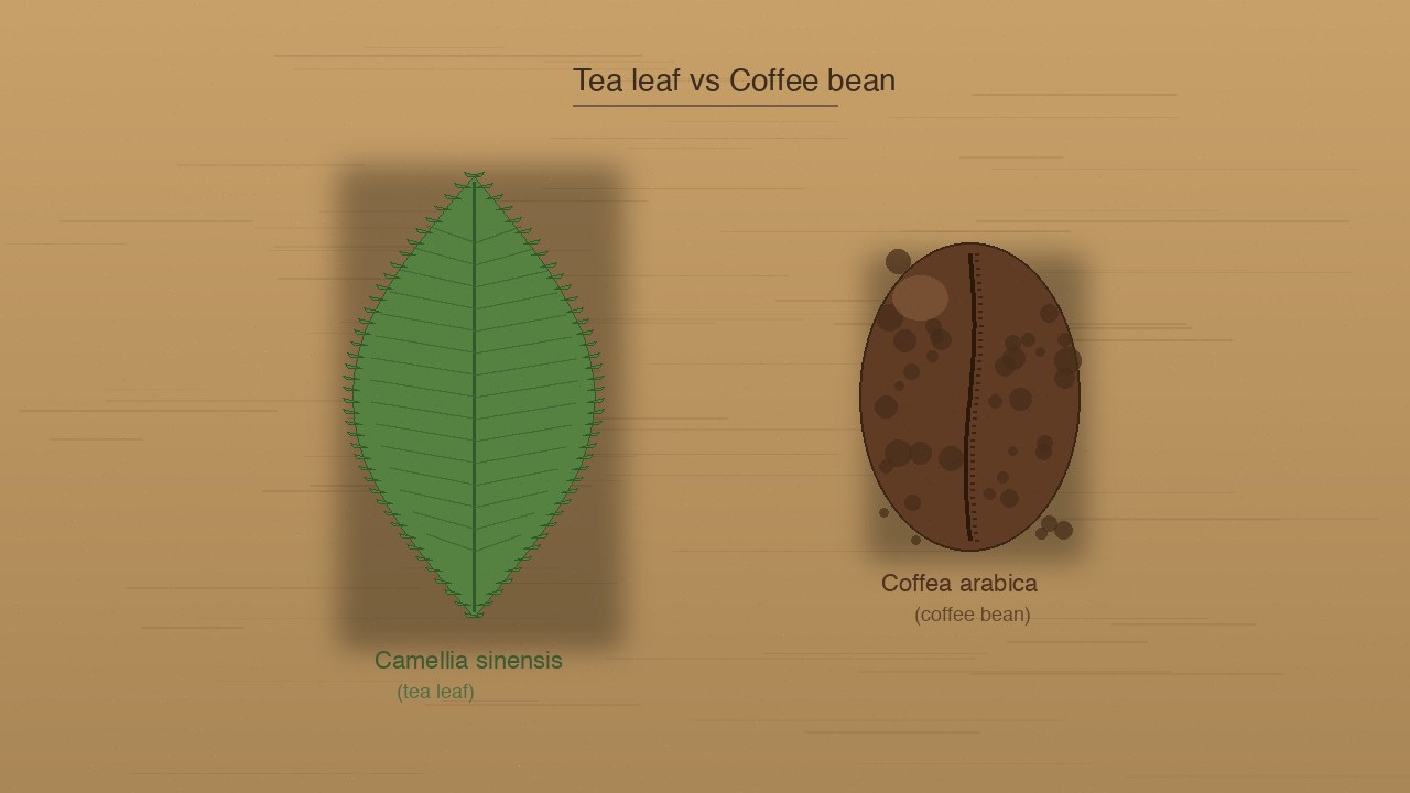 A green leaf and a roasted coffee bean side by side on a wood surface